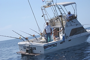 Big game fishing Croatia - Skippered charter